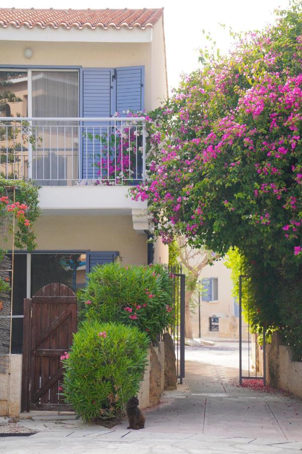 Rachel Suite By The Pool Paphos Buitenkant foto